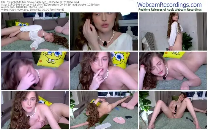 stripchat-ashleyd_-04-22-2025-20-36-24