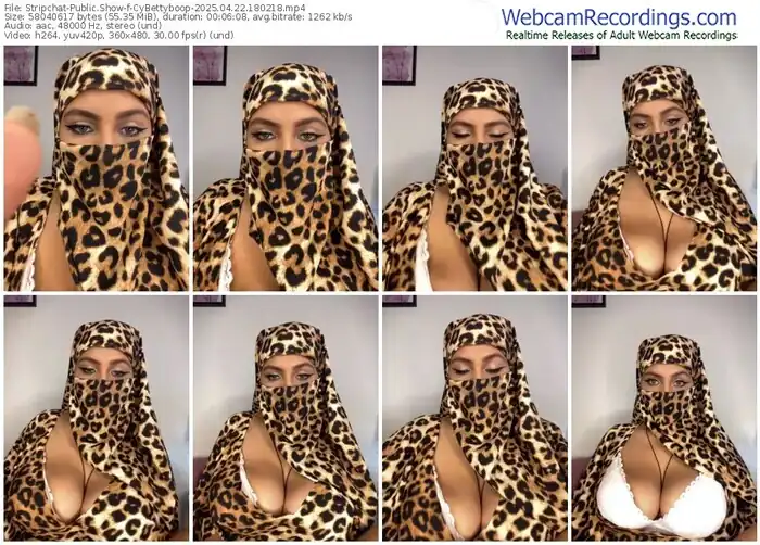 stripchat-cybettyboop-04-22-2025-18-02-18