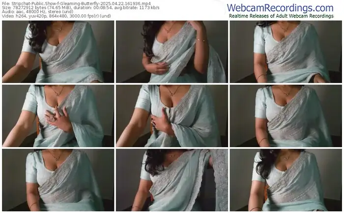 stripchat-gleaming-butterfly-04-22-2025-16-19-36