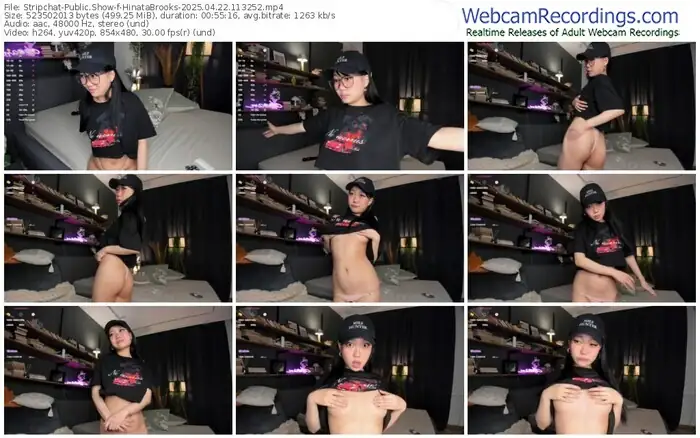 stripchat-hinatabrooks-04-22-2025-11-32-52