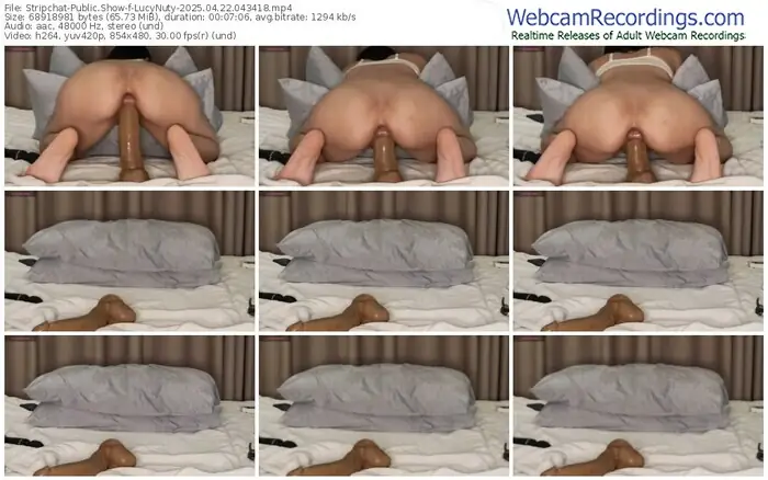 stripchat-lucynuty-04-22-2025-04-34-18