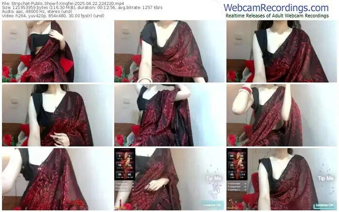 stripchat-xingfei-04-22-2025-22-42-20