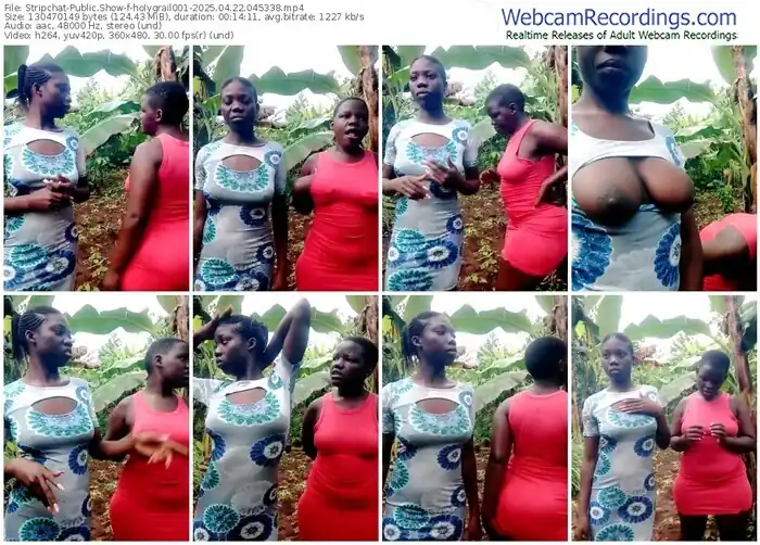 stripchat-holygrail001-04-22-2025-04-53-38