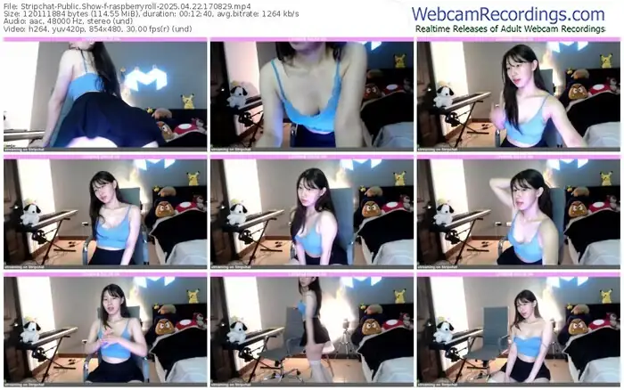 stripchat-raspberryroll-04-22-2025-17-08-29