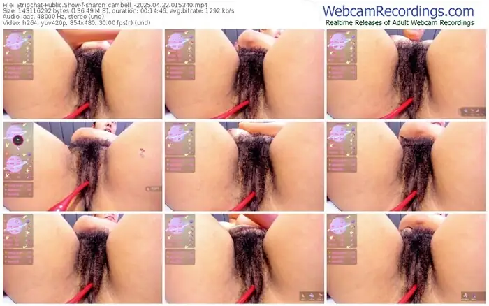 stripchat-sharon_cambell_-04-22-2025-01-53-40