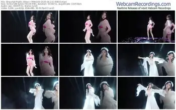 stripchat-xmh100-04-23-2025-14-08-33