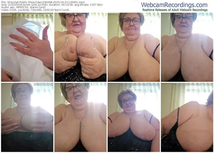 stripchat-awn290668-04-23-2025-13-09-51