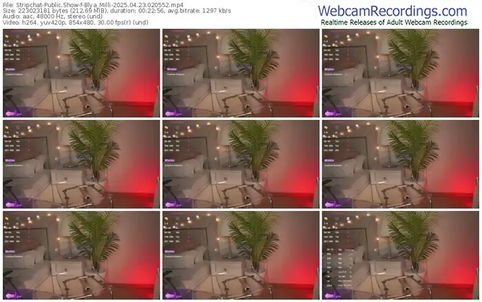 stripchat-blya_milli-04-23-2025-02-05-52