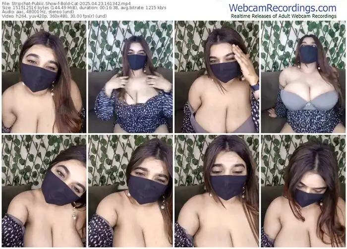 stripchat-bold-cat-04-23-2025-16-13-42