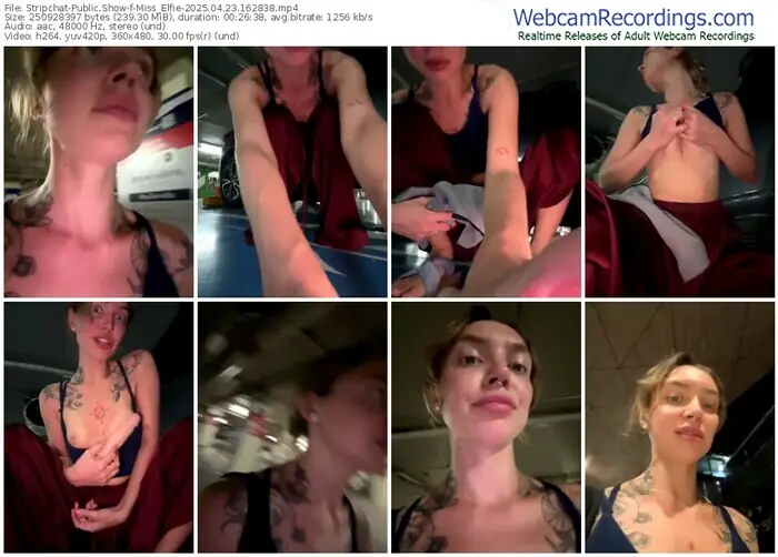 stripchat-miss_elfie-04-23-2025-16-28-38