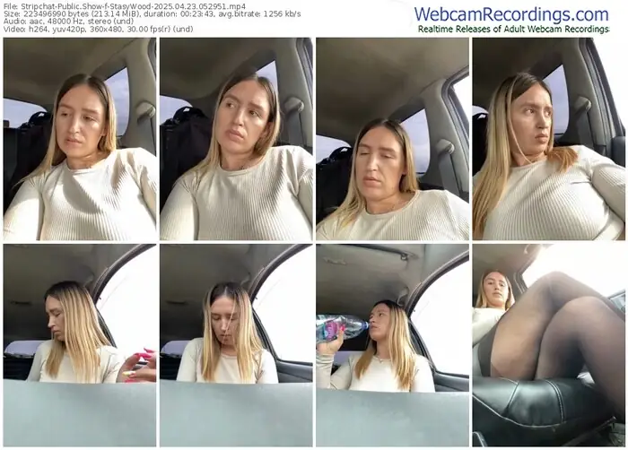 stripchat-stasywood-04-23-2025-05-29-51