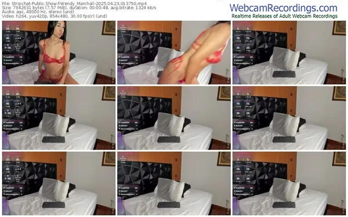 stripchat-wendy_marchall-04-23-2025-01-37-50