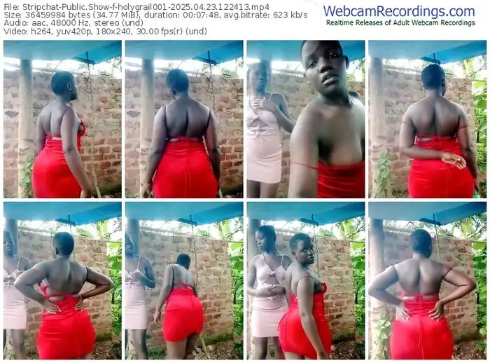 stripchat-holygrail001-04-23-2025-12-24-13