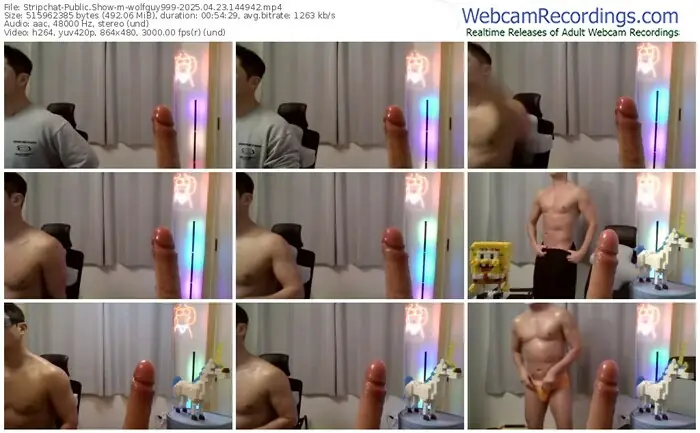 stripchat-wolfguy999-04-23-2025-14-49-42