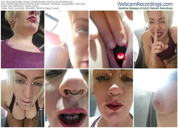 stripchat-pinkthehawk-04-24-2025-01-08-06