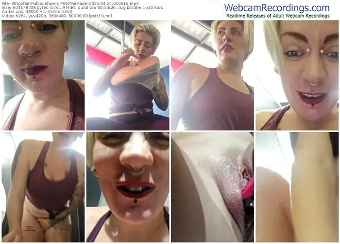 stripchat-pinkthehawk-04-24-2025-01-09-16
