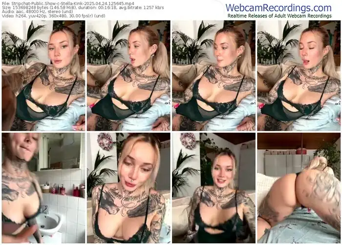 stripchat-stella-kink-04-24-2025-12-56-45