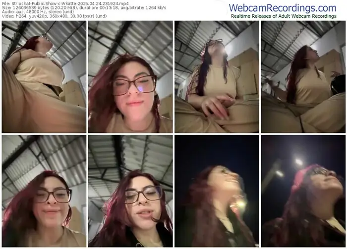 stripchat-wkatte-04-24-2025-23-19-24