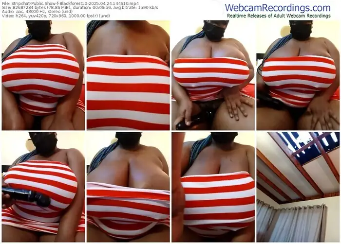 stripchat-blackforest10-04-24-2025-14-46-10