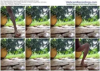 stripchat-lunapink9-04-24-2025-08-12-37