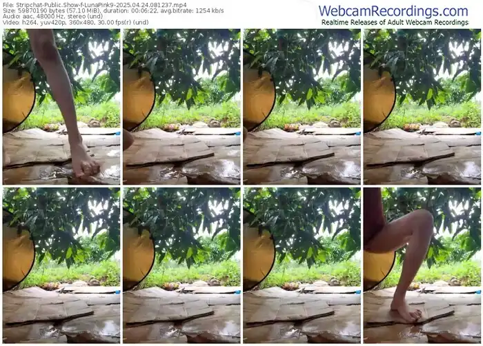 stripchat-lunapink9-04-24-2025-08-12-37