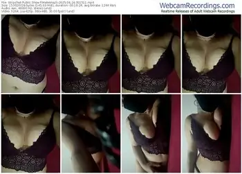 stripchat-meleknazli-04-24-2025-00-15-11