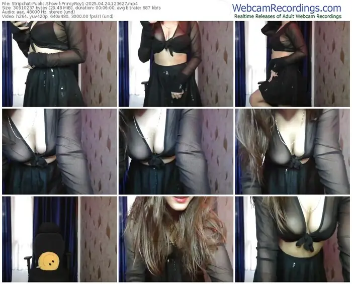 stripchat-princyroy1-04-24-2025-12-36-27