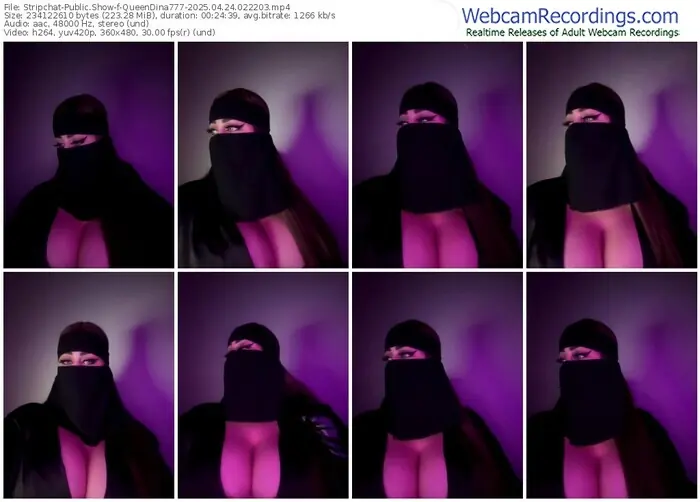 stripchat-queendina777-04-24-2025-02-22-03