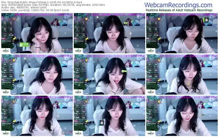 stripchat-sheep-1-04-24-2025-08-02-14