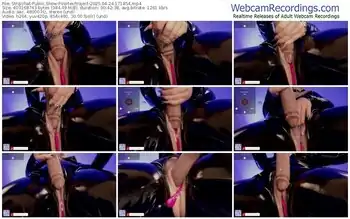 stripchat-vortexproject-04-24-2025-17-18-54