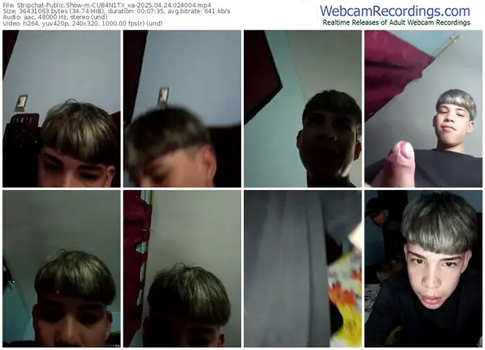 stripchat-cub4n1tx_xa-04-24-2025-02-40-04