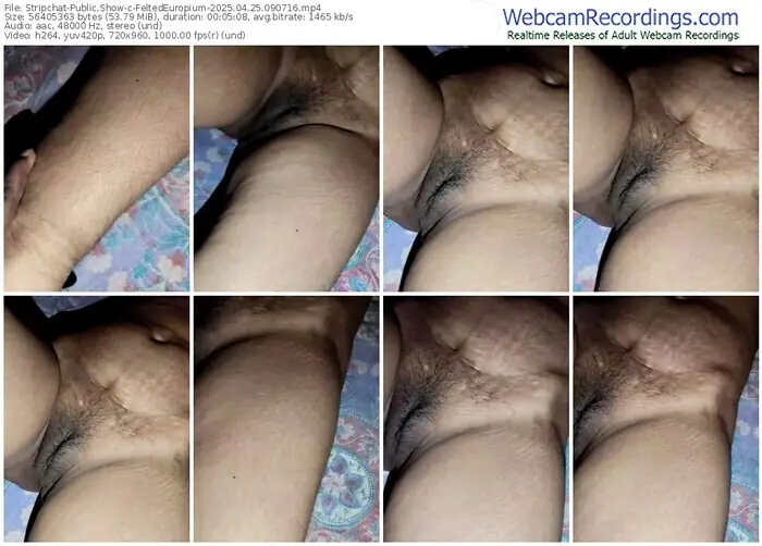 stripchat-feltedeuropium-04-25-2025-09-07-16