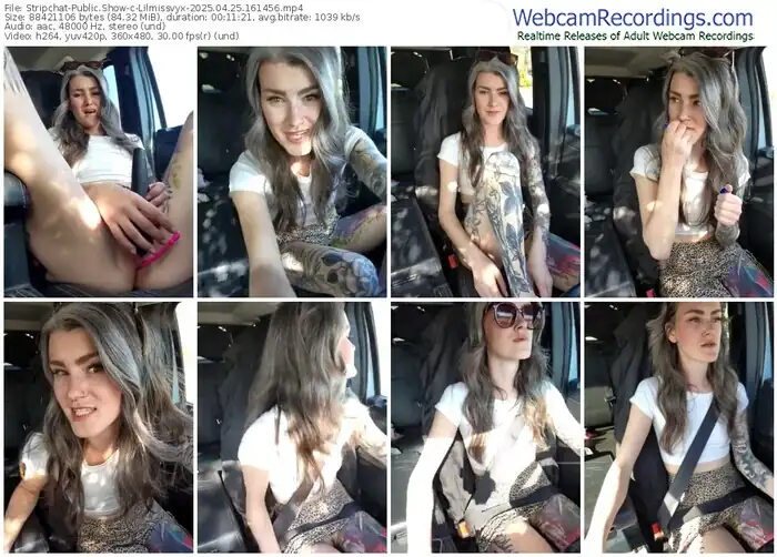 stripchat-lilmissvyx-04-25-2025-16-14-56