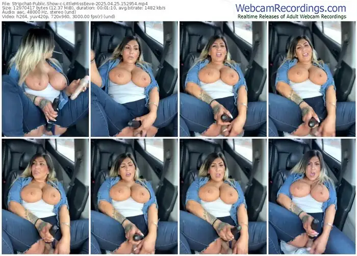 stripchat-littlemisseeve-04-25-2025-15-29-54