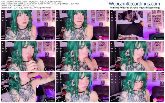 stripchat-aryrouse-04-25-2025-19-55-30