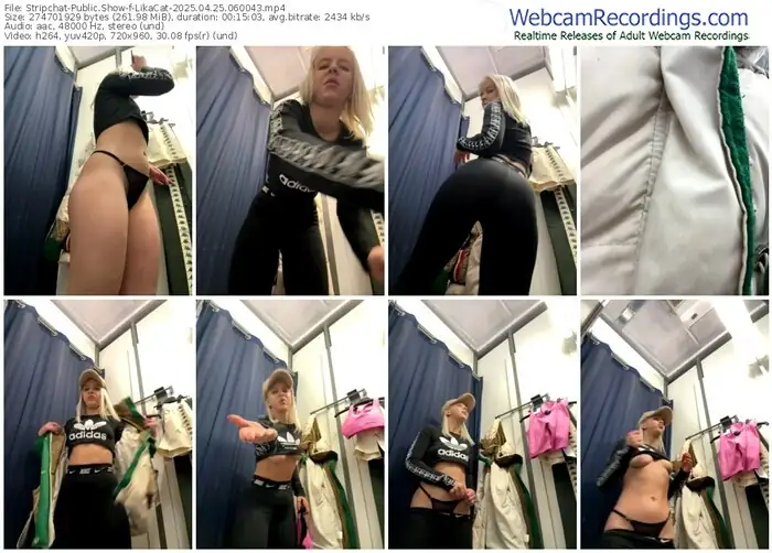 stripchat-likacat-04-25-2025-06-00-43