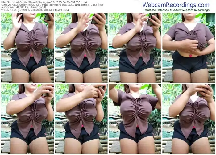 stripchat-moon_star12-04-25-2025-03-13-58