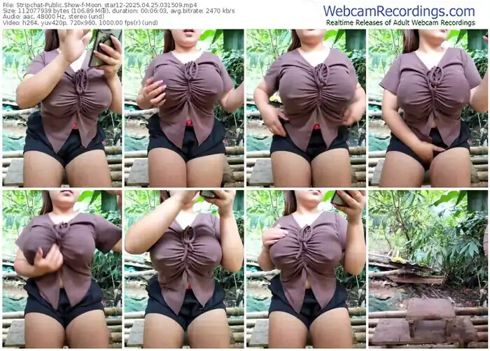 stripchat-moon_star12-04-25-2025-03-15-09