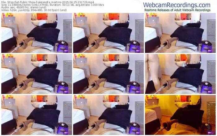 stripchat-alejandra_martins-04-25-2025-23-17-29