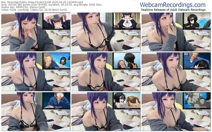 stripchat-linko12334-04-25-2025-13-24-59