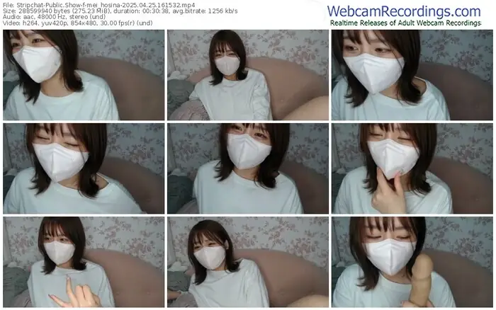 stripchat-mei_hosina-04-25-2025-16-15-32