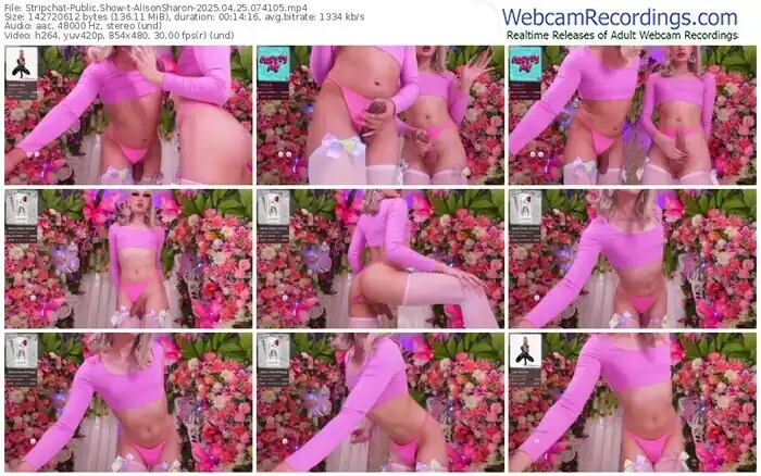 stripchat-alisonsharon-04-25-2025-07-41-05