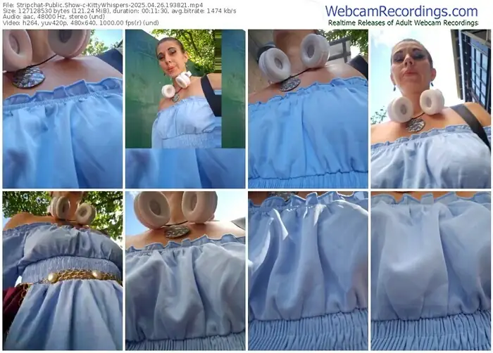 stripchat-kittywhispers-04-26-2025-19-38-21