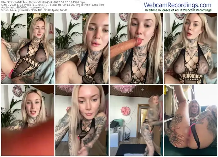 stripchat-stella-kink-04-26-2025-13-43-16
