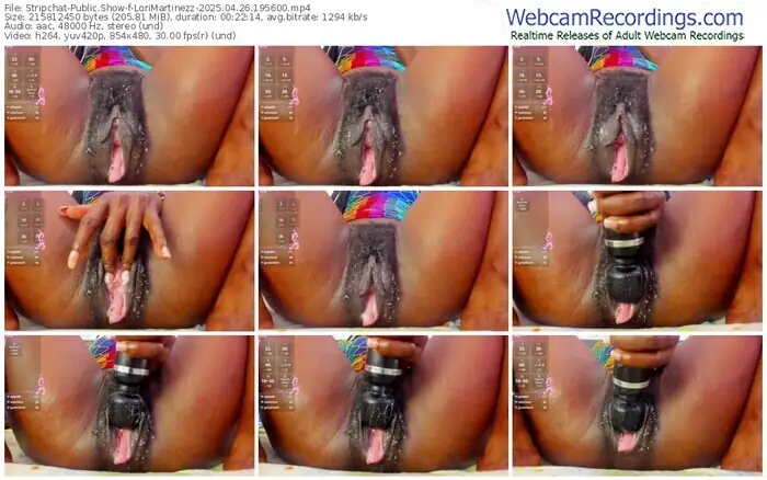 stripchat-lorimartinezz-04-26-2025-19-56-00