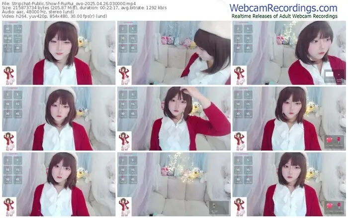 stripchat-ruirui_ovo-04-26-2025-03-00-00