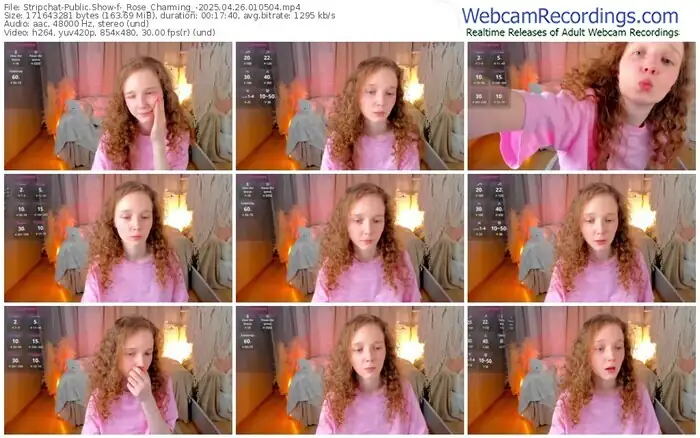 stripchat-_rose_charming_-04-26-2025-01-05-04