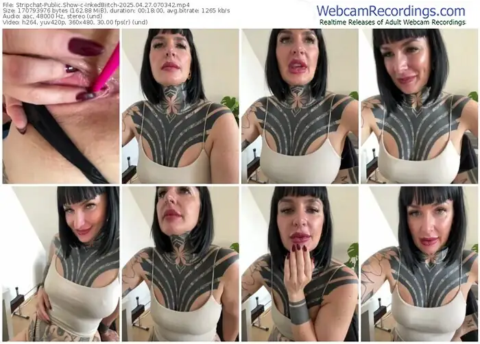 stripchat-inkedbiitch-04-27-2025-07-03-42