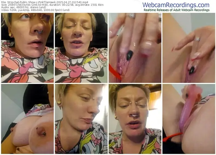 stripchat-pinkthehawk-04-27-2025-01-15-40