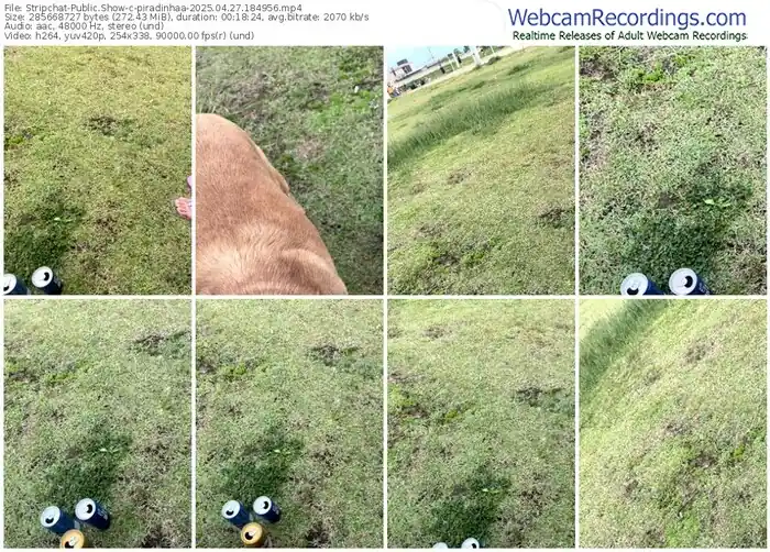 stripchat-piradinhaa-04-27-2025-18-49-56